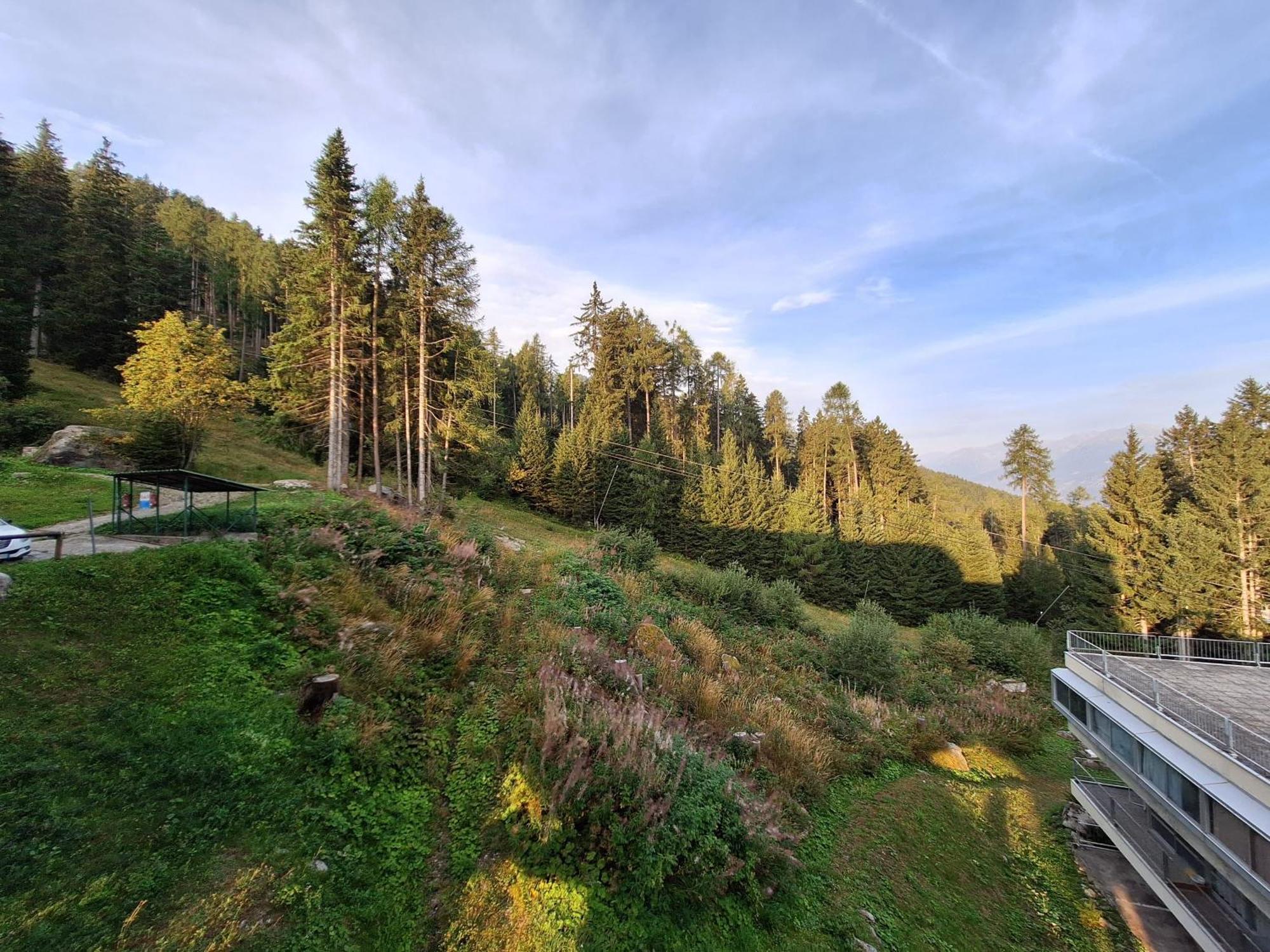 Sulle Pisce Da Sci, Relax E Natura In Mezzo Alle Dolomiti Marilleva