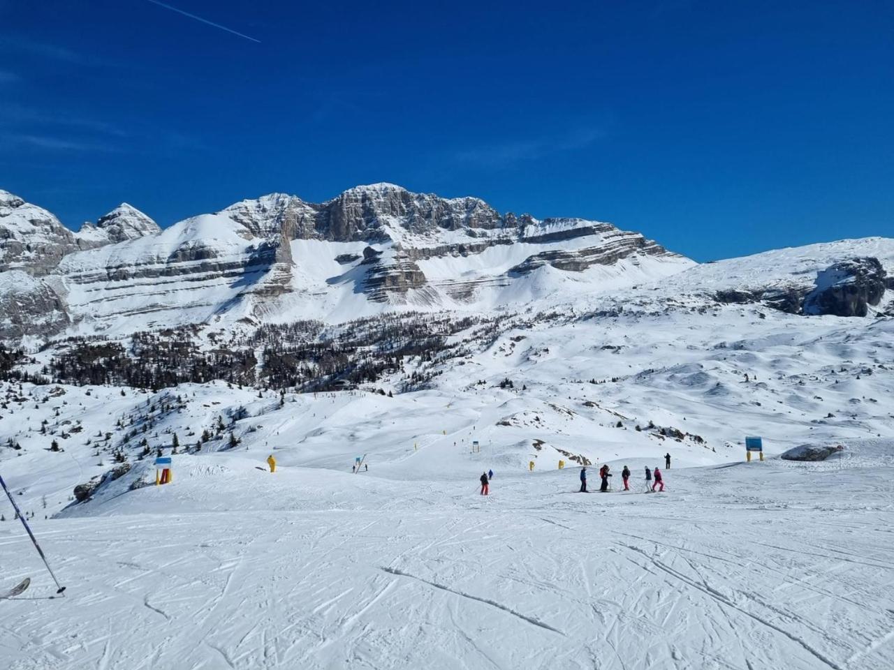 Apartment Sulle Pisce Da Sci, Relax E Natura In Mezzo Alle Dolomiti